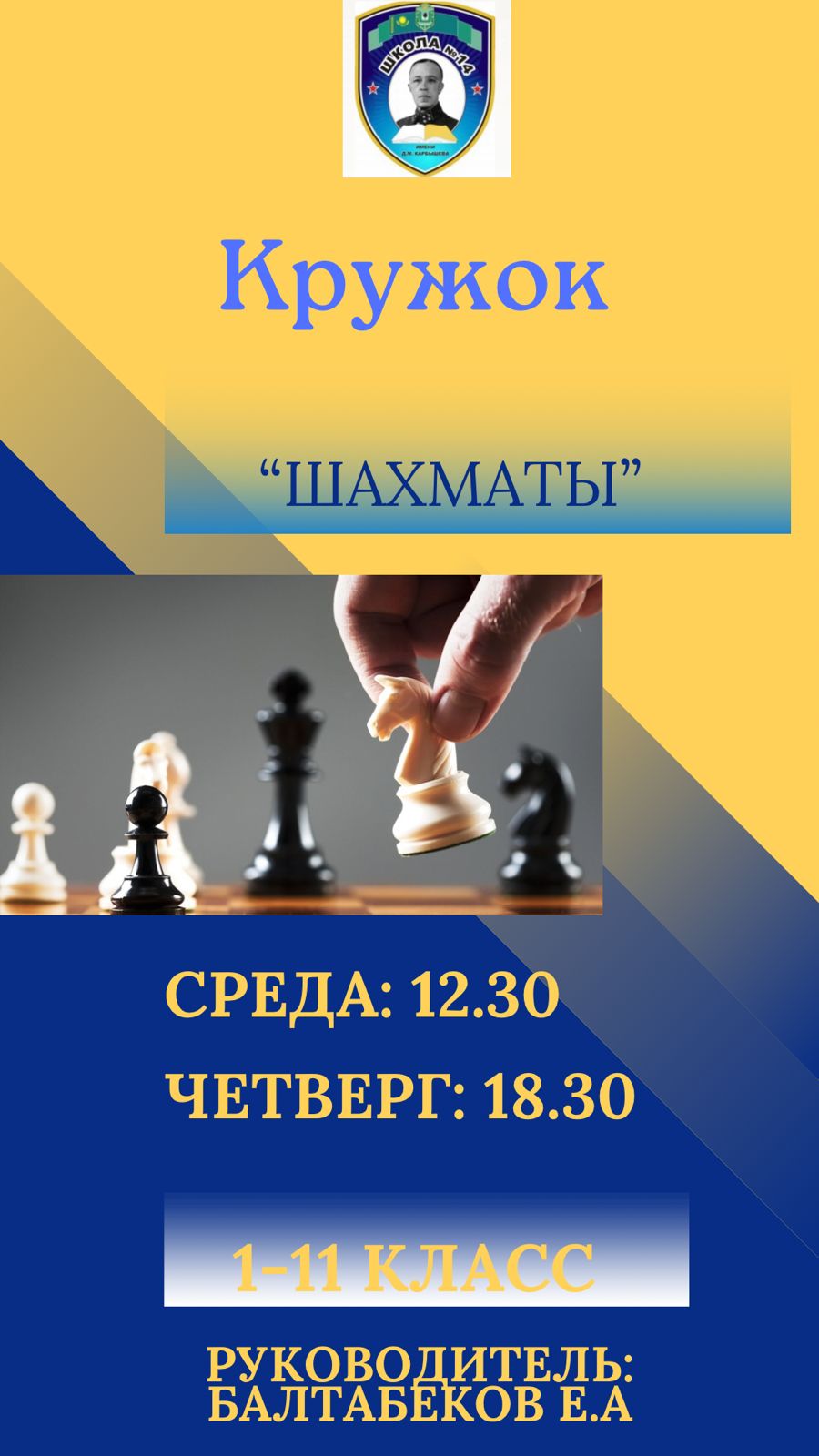 Шахматы